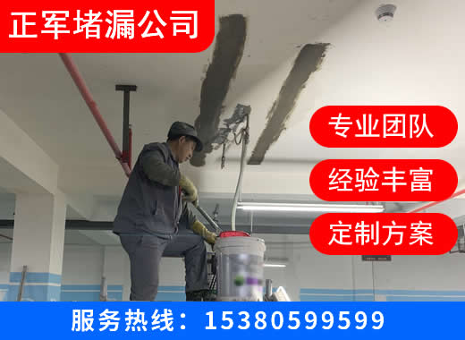 正军堵漏工程盐城线上分站